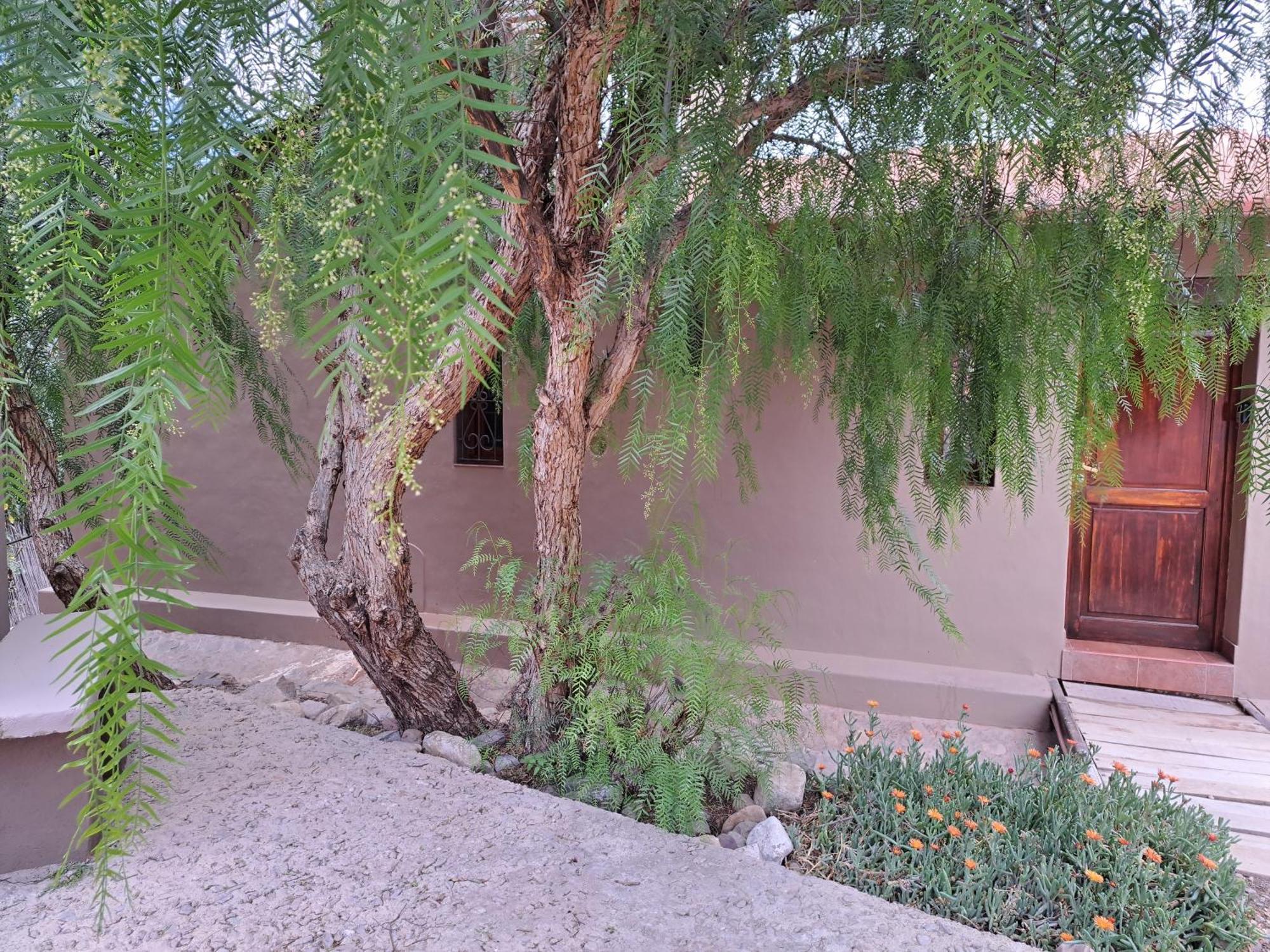 Casa En Tilcara Con Hermosa Vista Al Pucara Eksteriør billede